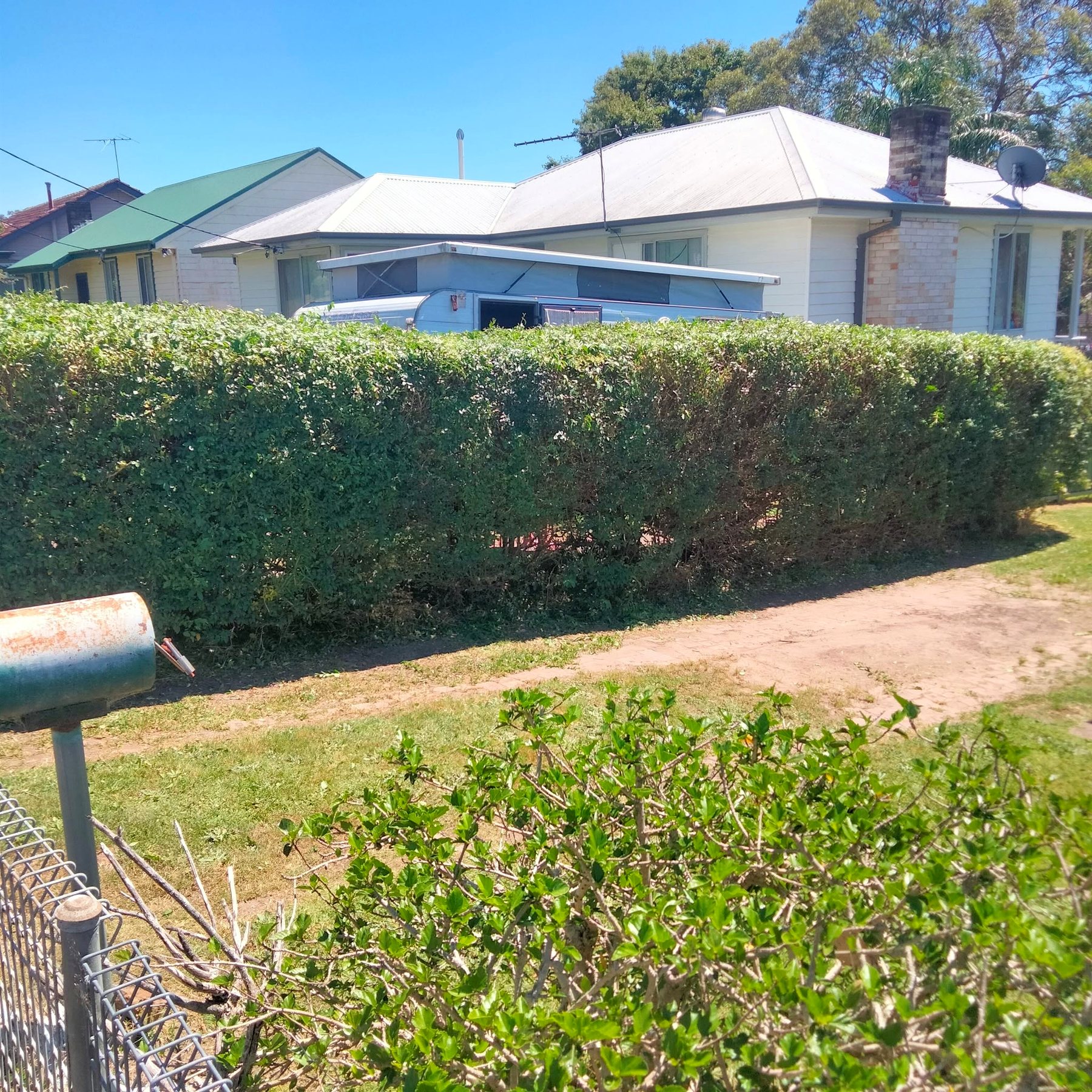 Hedge after trimming