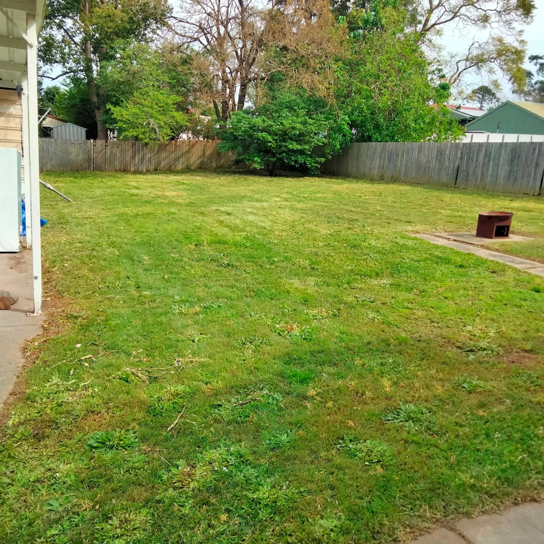 Yard after mowing
