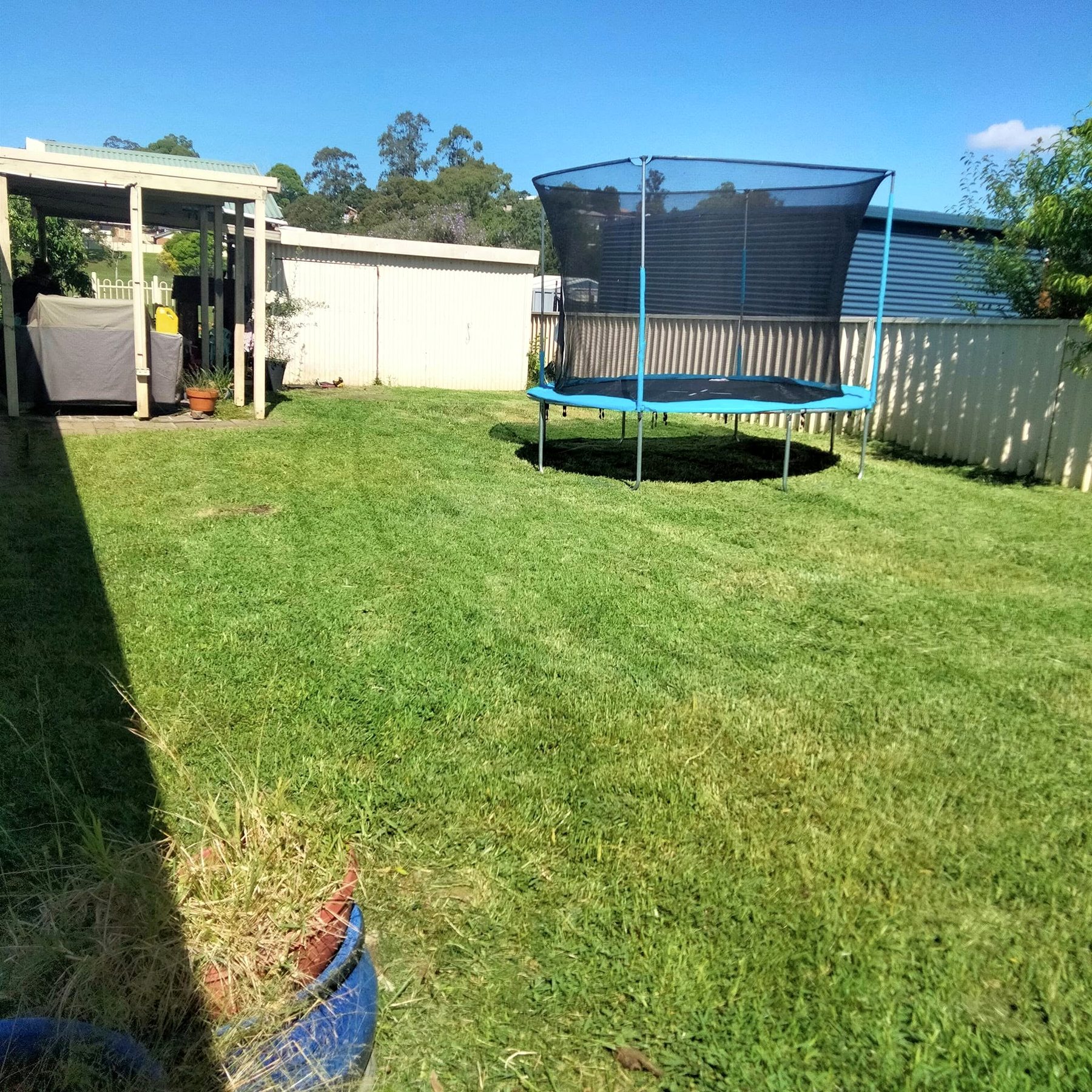 Trampoline yard after mowing and edging