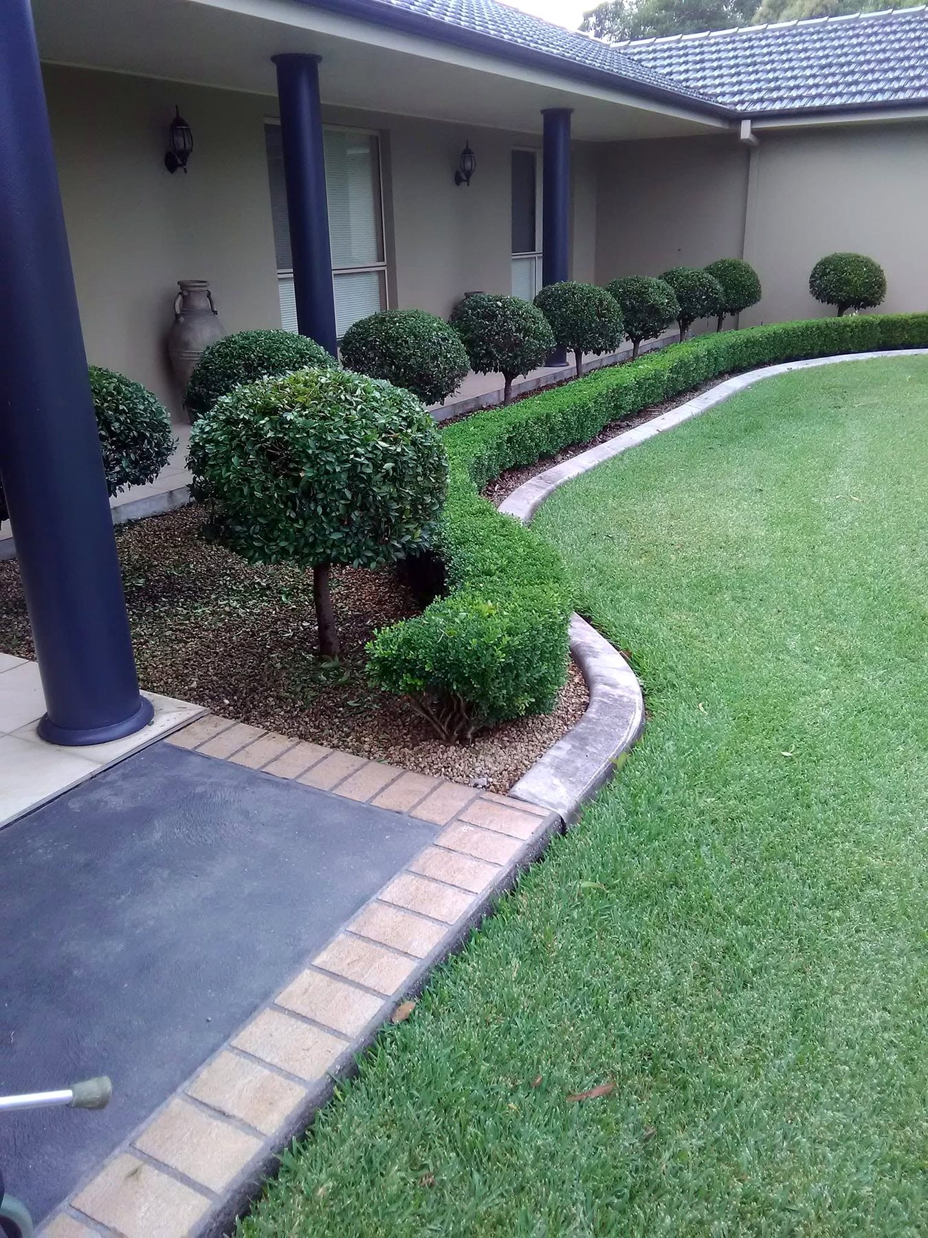 Neatly shaped garden shrubs beside a driveway