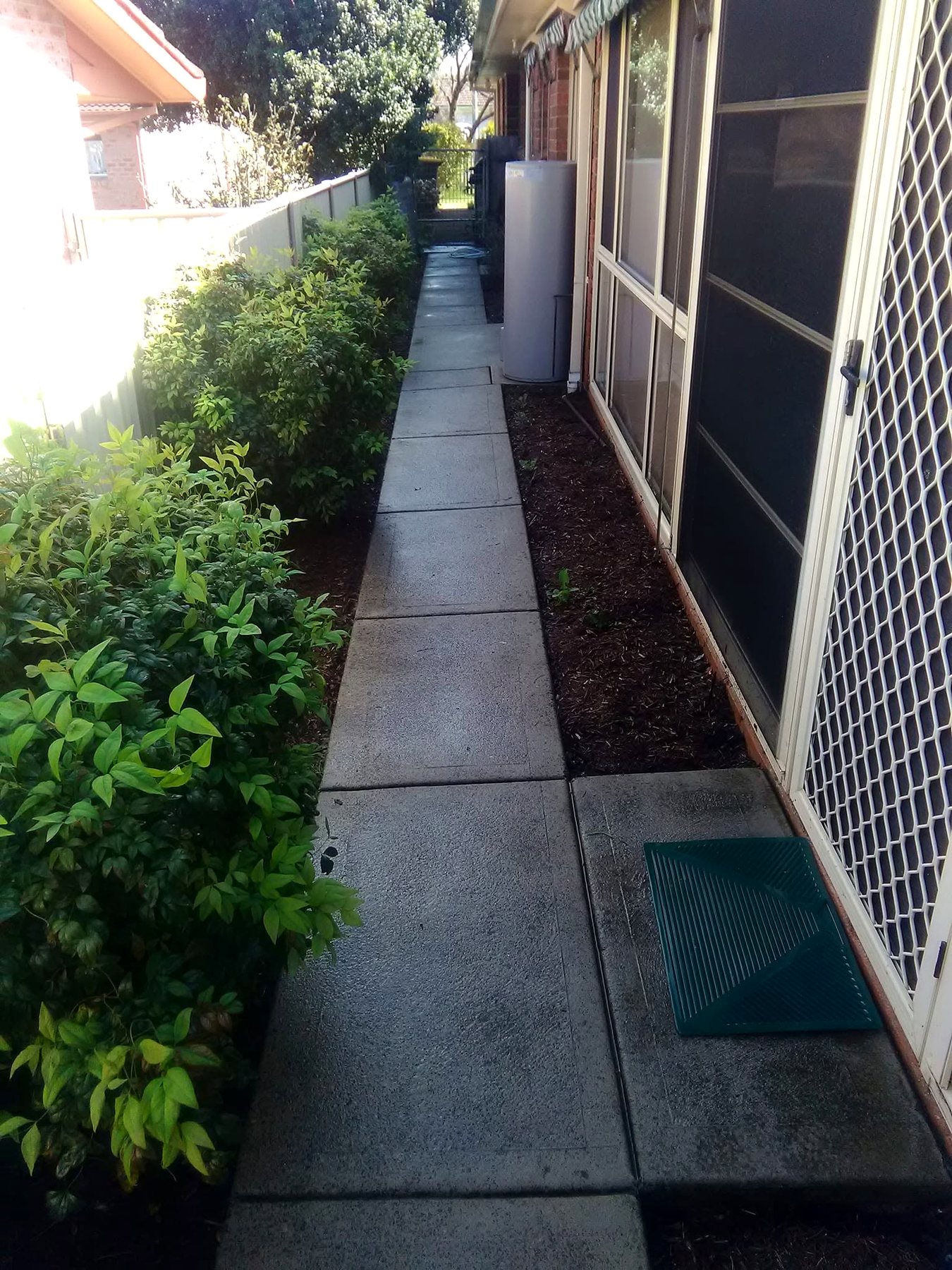 Freshly cleaned timber deck and path